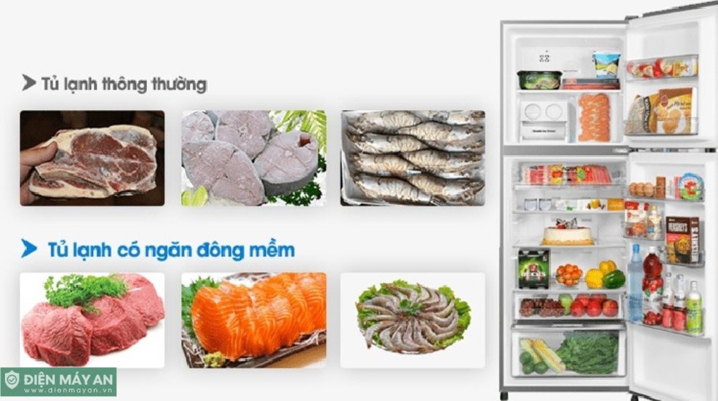 Có nên mua tủ lạnh có ngăn đông mềm không? Ưu nhược điểm & Lời khuyên từ chuyên gia
